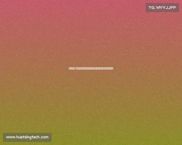 英雄联盟S赛运营策略与战队表现分析：从备战到决赛的全程解析