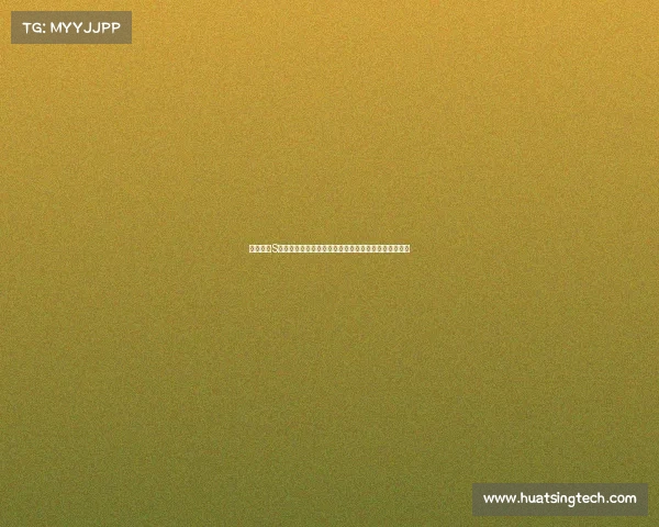 英雄联盟S赛运营策略与战队表现分析：从备战到决赛的全程解析