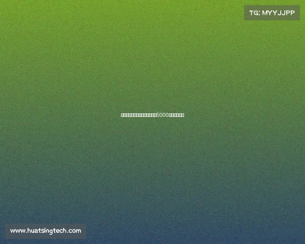 霍伊伦将加盟那不勒斯转会总价5000万欧达成协议