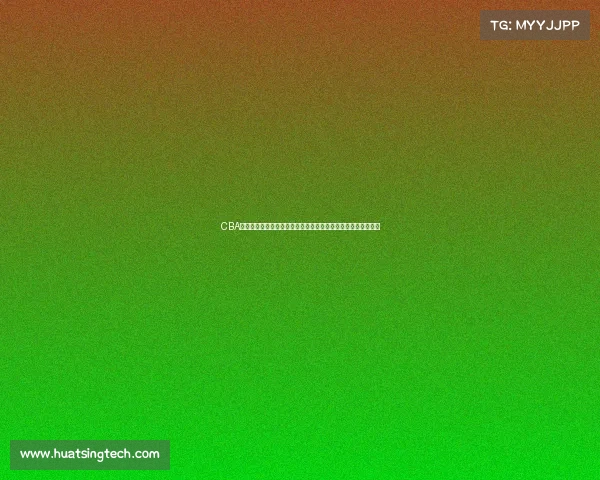 CBA球员工资现状解析及影响因素分析：薪资结构与球队运营的关系