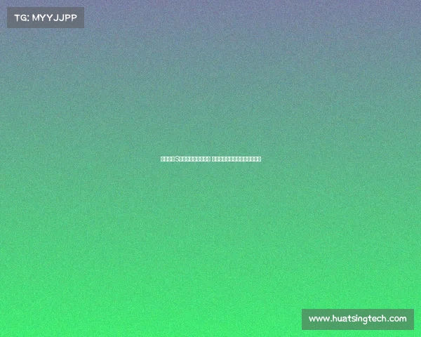 英雄联盟S赛辅助视野策略解析 提升全局掌控力与团队协作效率