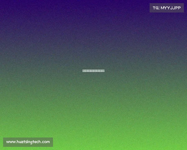 非洲冠军：大陆足球之光与荣耀